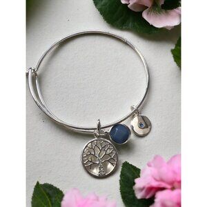 Lana Sodalite FAMILY Silver Sliding Bangle Charm Bracelet